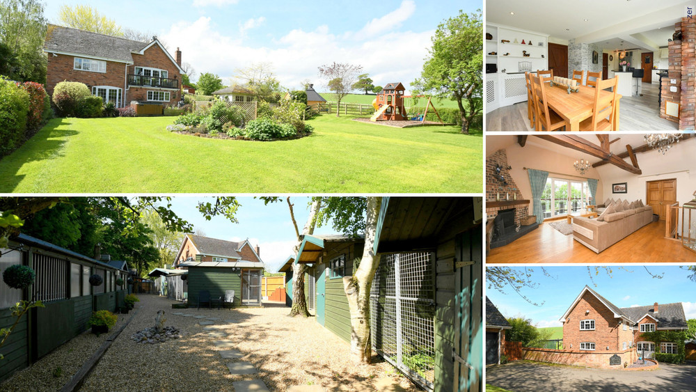 Country living in an impressive 2.5 acres with stunning views and an added business opportunity!