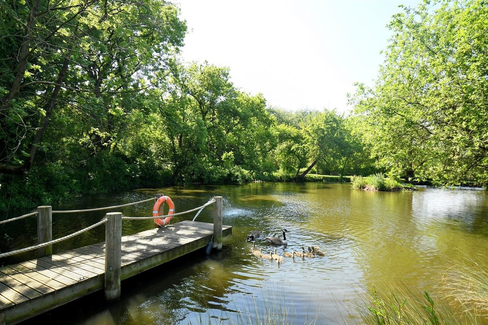 High Trees Dairy, Marchington - £1,100,000